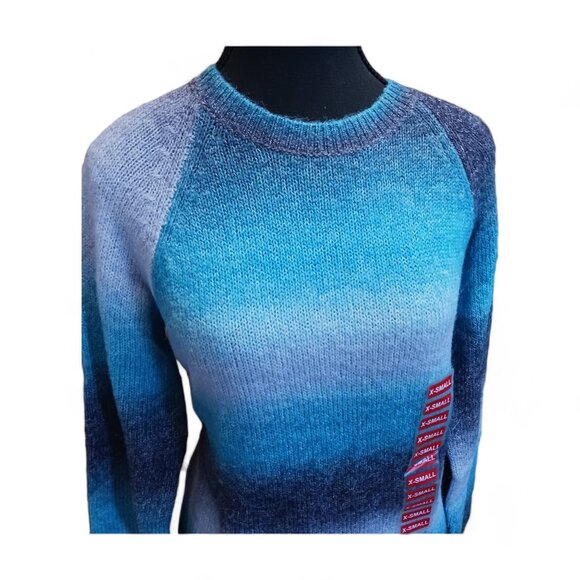 BB Dakota x Steve Madden Blue Stripe  Ombre Crewneck Sweater NWT  Size XS - Picture 5 of 15